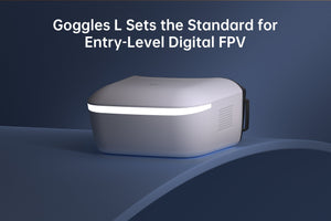 Goggles L Setzt den Standard für digitale Einsteiger FPV